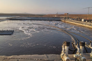 Read more about the article Arad, Israel