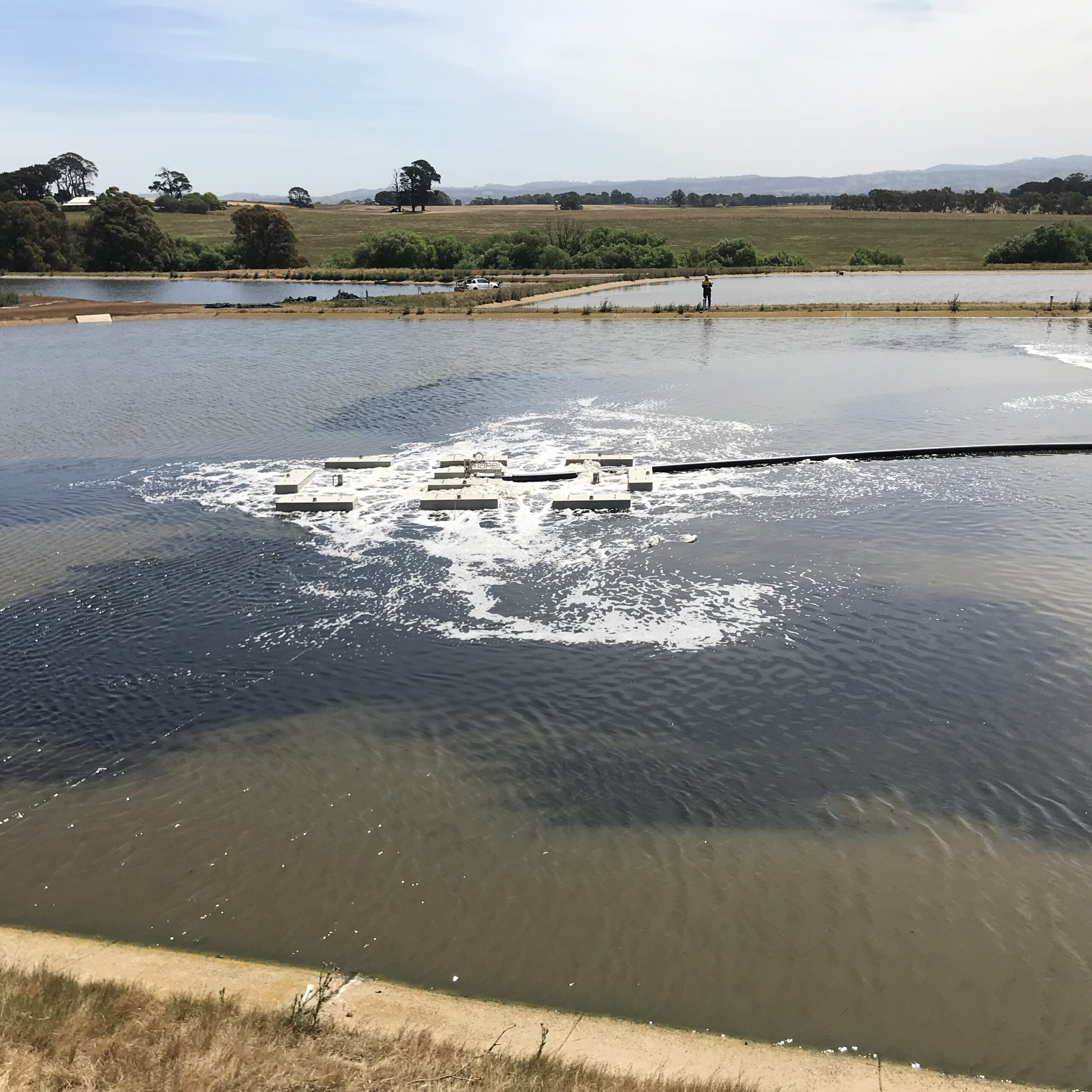 What are the Advantages of Aerated Lagoons Mapal