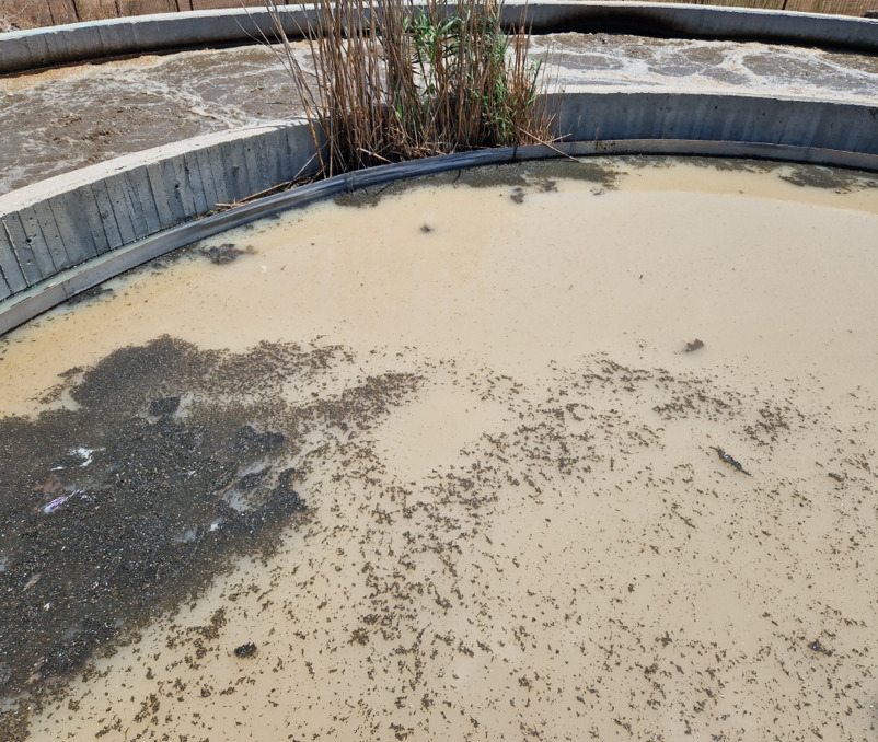 Kfar Tavor reactor before upgrade