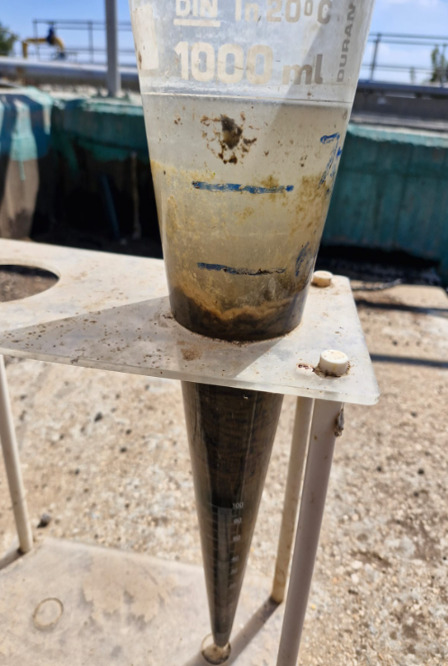Sludge settling test at Kfar Tavor WWTP